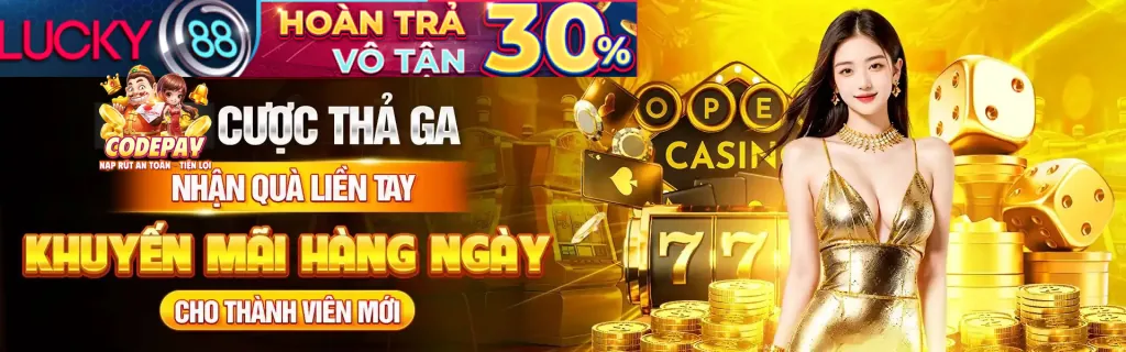 Hỗ trợ khách hàng WinVND